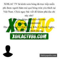XOILAC TV là kênh xem bóng đá trực tiếp miễn phí được người