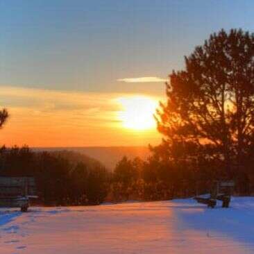 वेदना की संवेदना