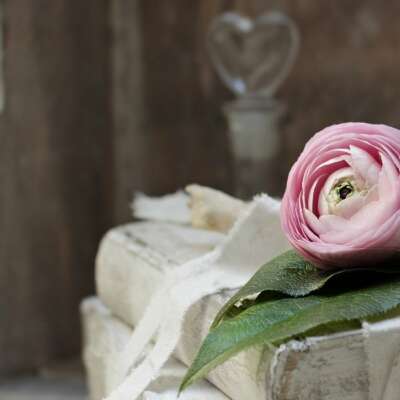 जज़्बातों की धुंध, जब दिलों को देगा देती है, मेरे कलम की क़िस्मत को, शब्दों की दुआ देती है।