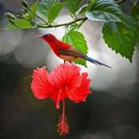 कुछ न कुछ छूटना तो लाज़मी है।