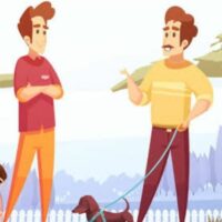 कोतवाली