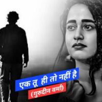 एक तू ही तो नहीं है