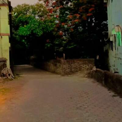 सुख दुख के साथी