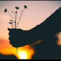 जिंदगी से यूं मलाल कैसा