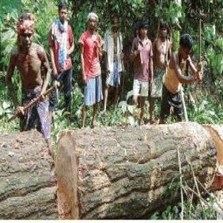 वृक्ष बोल उठे..!