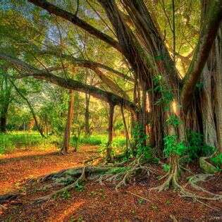 *** सफलता की चाह में......! ***