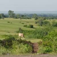 भुलाना हमारे वश में नहीं