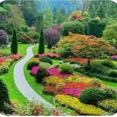 पीहर गाछी ( गीत )