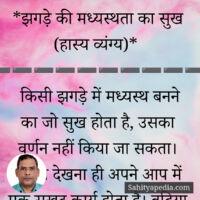 *झगड़े की मध्यस्थता का सुख (हास्य व्यंग्य)*