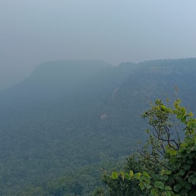 जय जोहार