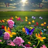 आदर्शों के द्वंद