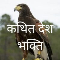 देश भक्ति का ढोंग