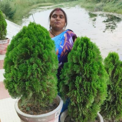 ये नारी है