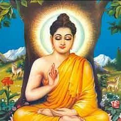 नवबुद्ध बने ! नवबुद्ध बने !