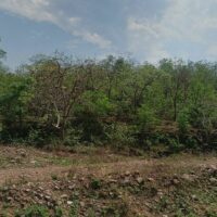 हमारी तुम्हारी मुलाकात