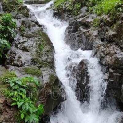 जल से सीखें