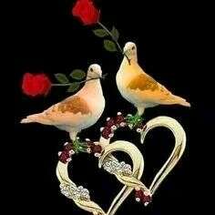 मुहब्बत