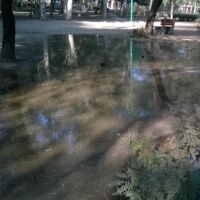 चोर-उचक्के सब रिबेल-से बने हुए थे