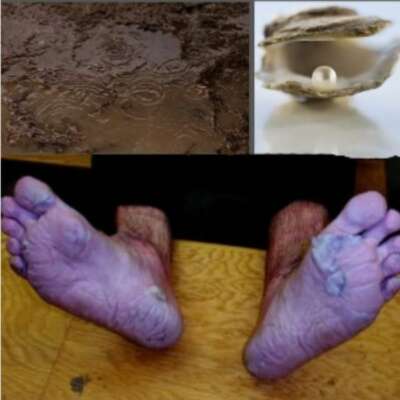 फ़र्ज़ ...