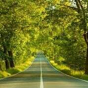 ओ पथिक तू कहां चला ?