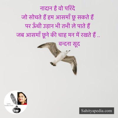 नादान है वो परिंदे