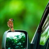 तहजीब राखिए !