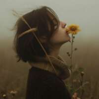 सत्य मिलता कहाँ है?