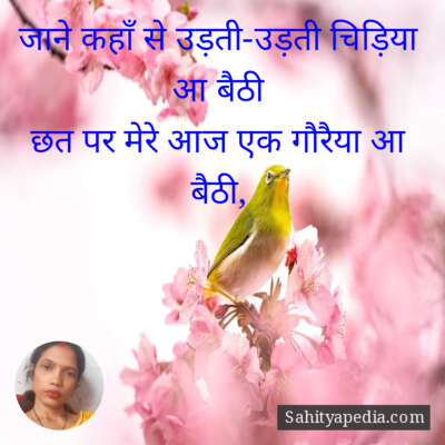 जाने कहाँ से उड़ती-उड़ती चिड़िया आ बैठी