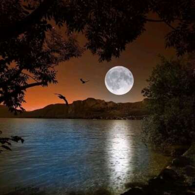 खामोशी की आहट