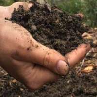 मिट्टी की कीमत