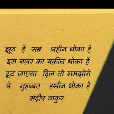झूठ है सब ज़हीन धोका है - संदीप ठाकुर