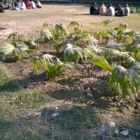 ज़रा-सी निकली धूप कि गुण्डे नज़र लगाकर बैठे थे