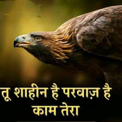 एक आज़ाद परिंदा