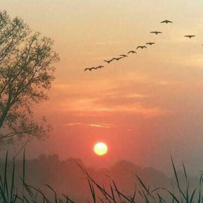 🌺🌤️जिन्दगी उगता हुआ सूरज है🌤️🌺