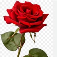 उलझन का संकेत