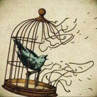 आजाद पंछी