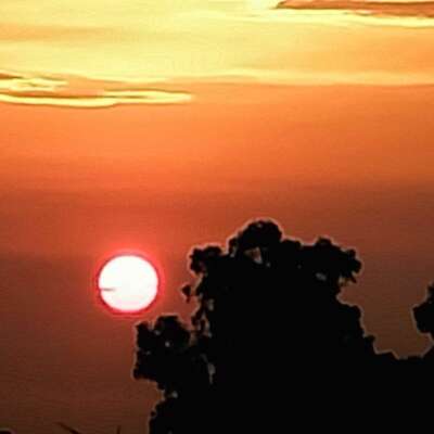 *ईर्ष्या भरम *