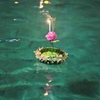 गंगा- सेवा के दस दिन (सातवां दिन)