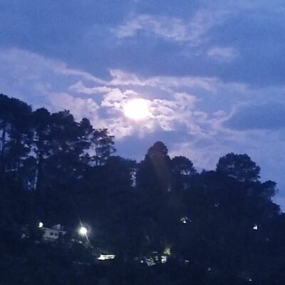 सर्द हवा