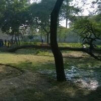 पढ़े-लिखे वे लोग ही भैया जाहिल निकले