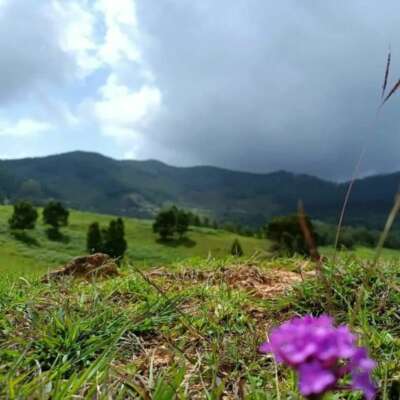 एक शाम ऐसी कभी आये, जहां हम खुद को हीं भूल जाएँ।